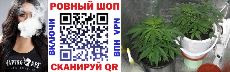 Купить наркоту Белорецк ГАШ  Псилоцибиновые грибы  Меф мяу мяу 