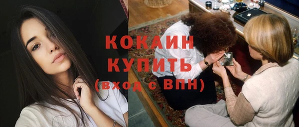 шишки Арсеньев