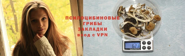 шишки Арсеньев
