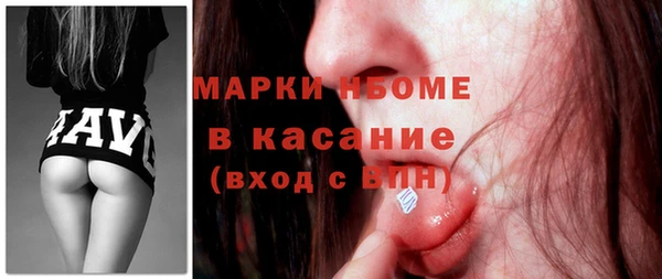 шишки Арсеньев