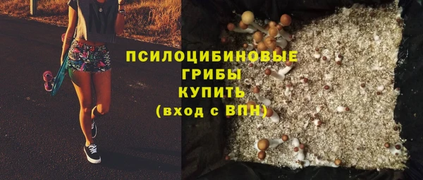 шишки Арсеньев