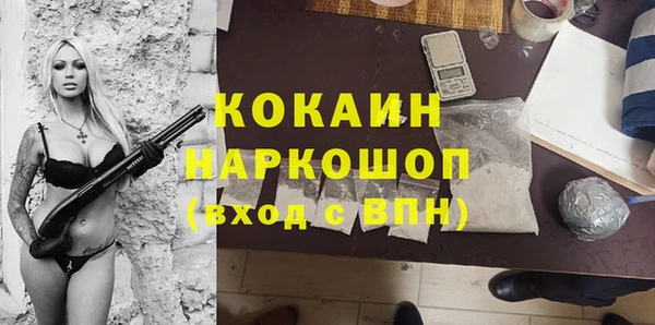 шишки Арсеньев