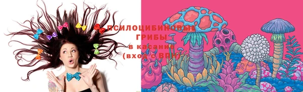 шишки Арсеньев
